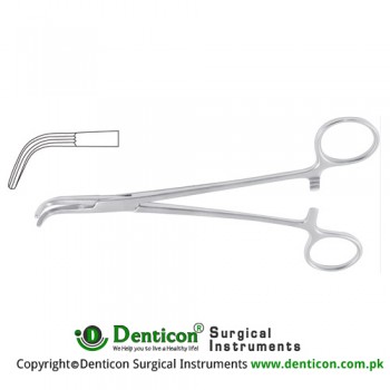 Lahey Dissecting and Ligature Forcep Curved Stainless Steel, 18.5 cm - 7 1/4"